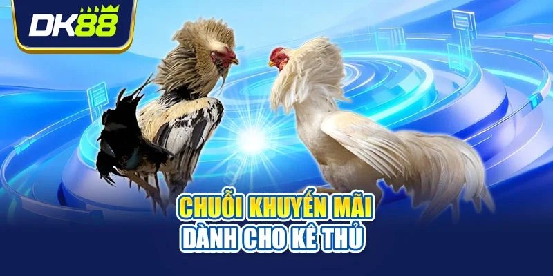 Chuỗi khuyến mãi dành cho kê thủ